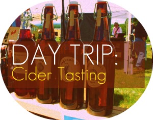 CiderTasting