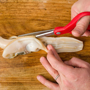 How to Clean Razor Clams photo by john clark