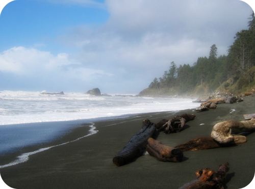 Kalaloch campground deals