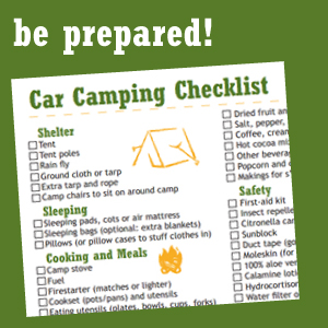 Let's Go Outside Y'all  Car Camping Laminated Checklist