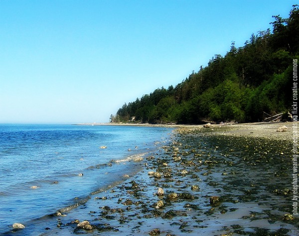 South Whidbey Island State Park beach by "elephant wearing striped pants"