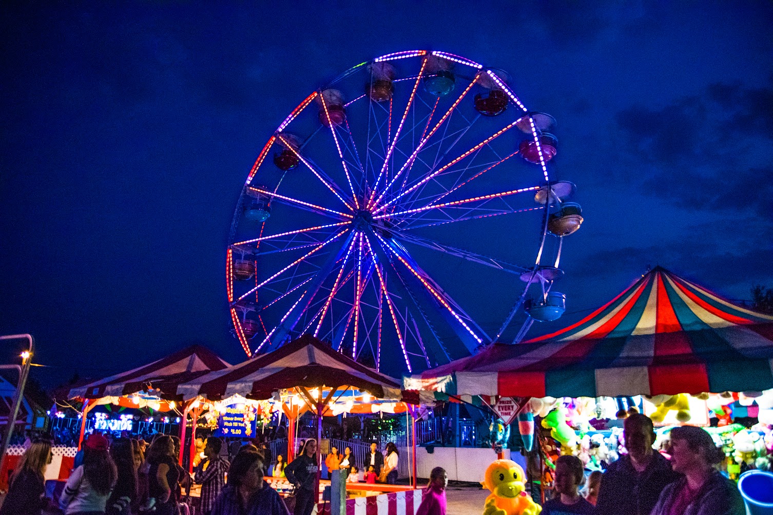 Five Great County Fairs in Washington State