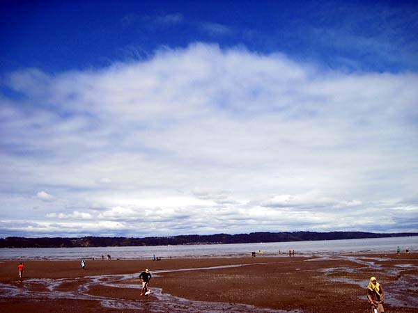 dash point state park beach