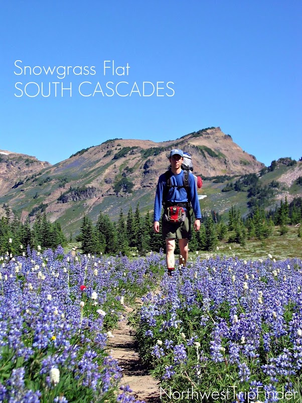 Hiking in the Goat Rocks: Snowgrass Flats - Goat Lake Loop - Northwest ...