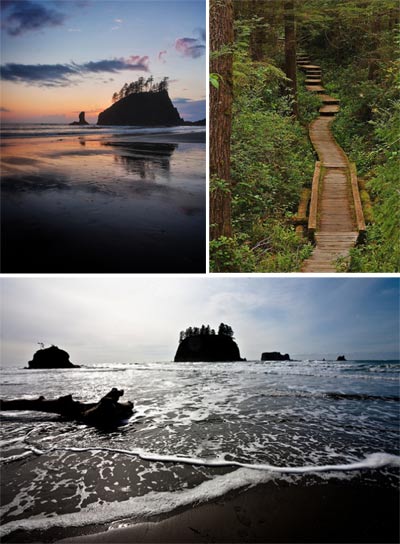 TRIP GUIDE: Olympic National Park