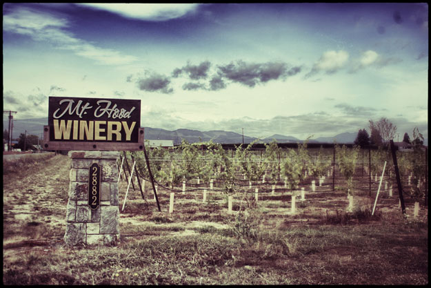 Tasting at Hood River Winery