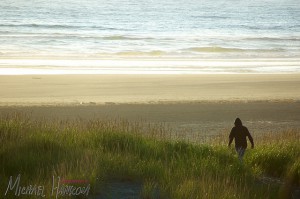 Dunes at Twin Harbors State Park by Michael Hanscom