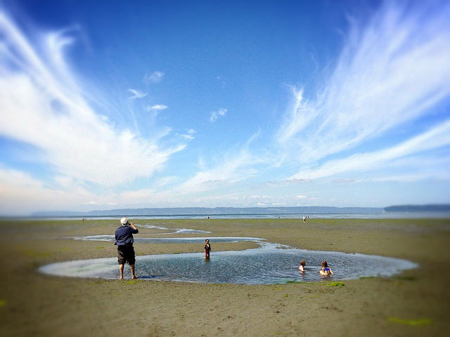 Low Tide on Jetty Island (photo by Alvin Smith)