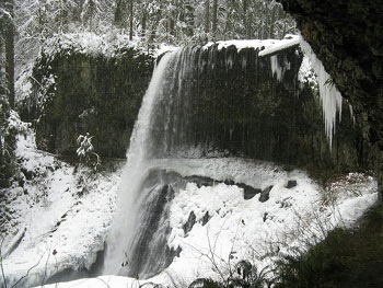 Camp & Hike: Silver Falls State Park