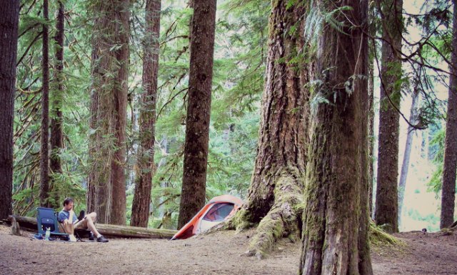 Mount Rainier Hiking & Camping Adventure