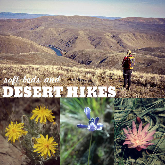 Soft Beds and Desert Hikes in Washington's Canyon Country