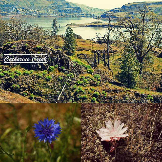 Day Hikes and Cheap Sleeps in the Columbia River Gorge