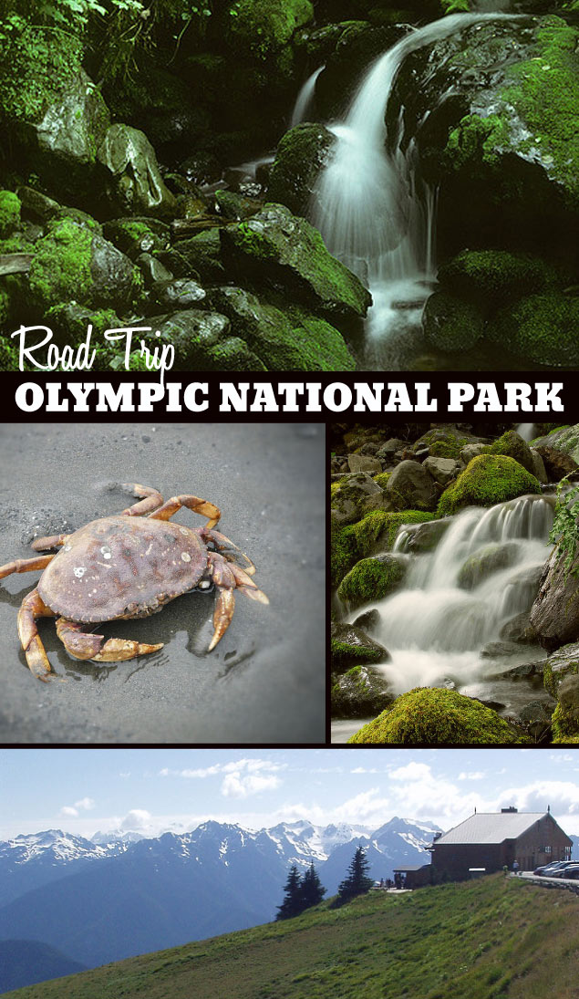 Road Trip: Olympic National Park