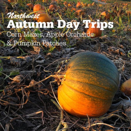 Northwest Autumn Day Trips