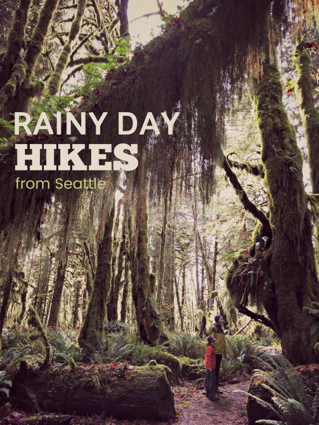 Rainy Day Hikes in Washington state