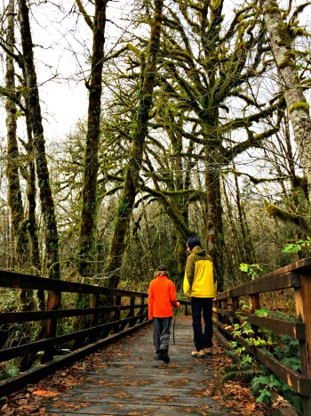 Rainy Day Hikes from Seattle