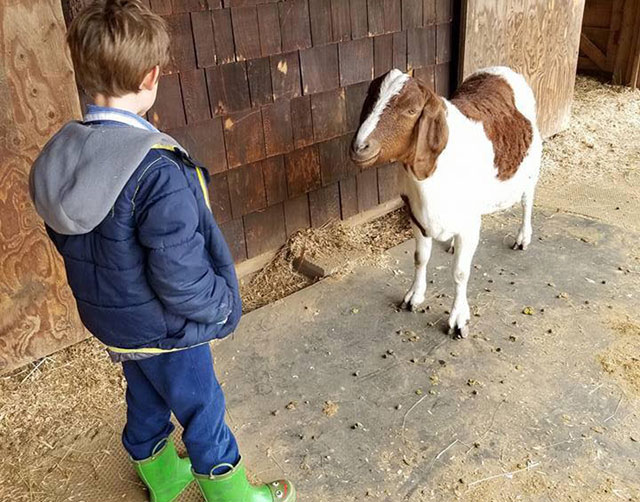 Stay and Play: Mt Baker Farm on Orcas Island