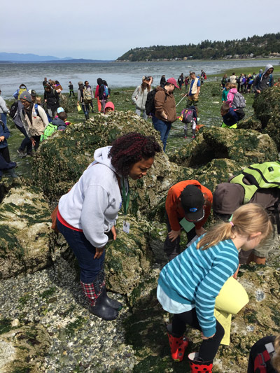 Understanding the Alki Beach Tide Table: Your Comprehensive Guide