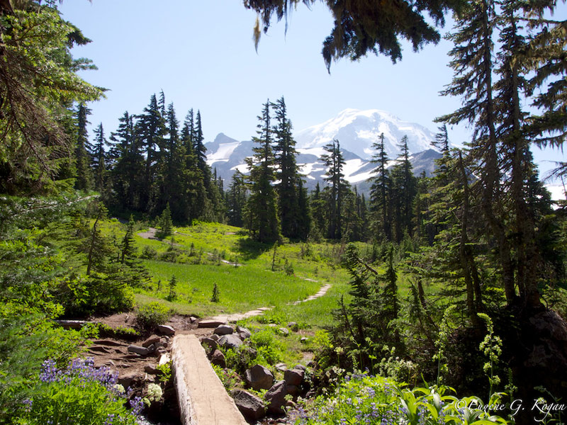 High Country Hikes: Epic Trails for Views and Blooms