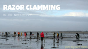 Beach Bounty: Guide to Digging for Razor Clams