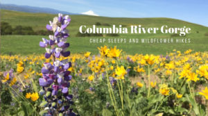 Columbia River Gorge: Cheap Sleeps and Wildflower Hikes