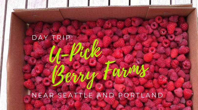 Day Trip: U-Pick Berry Farms Near Seattle and Portland