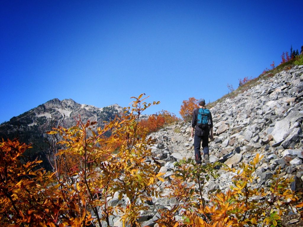 Fall Color in the North Cascades