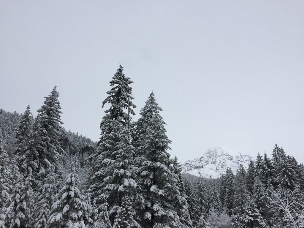 Winter on Mount Rainier