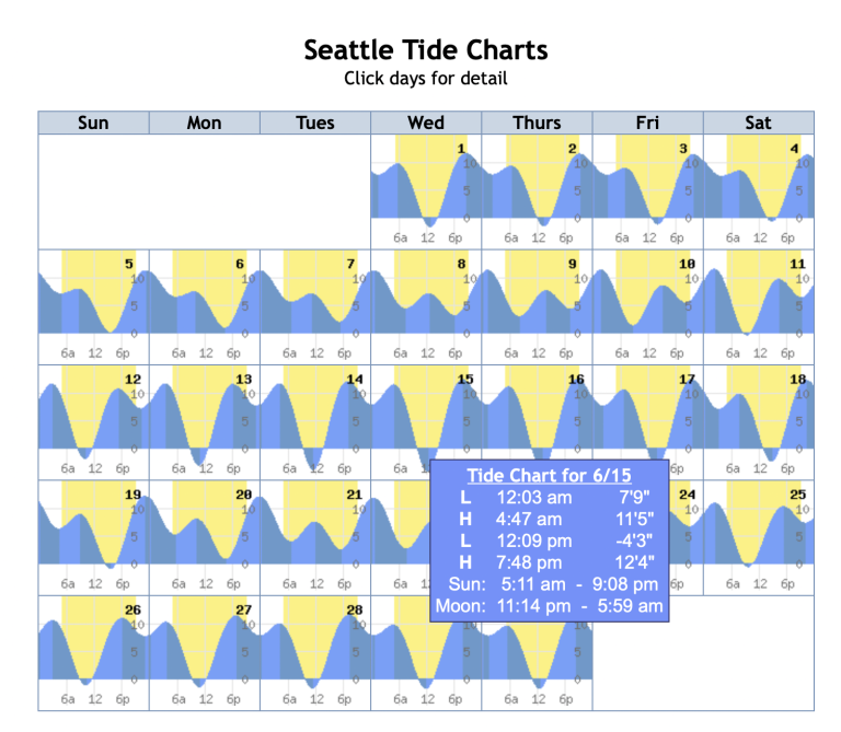 Tide Pool Party: Where to Spot Cool Marine Life Near Seattle ...