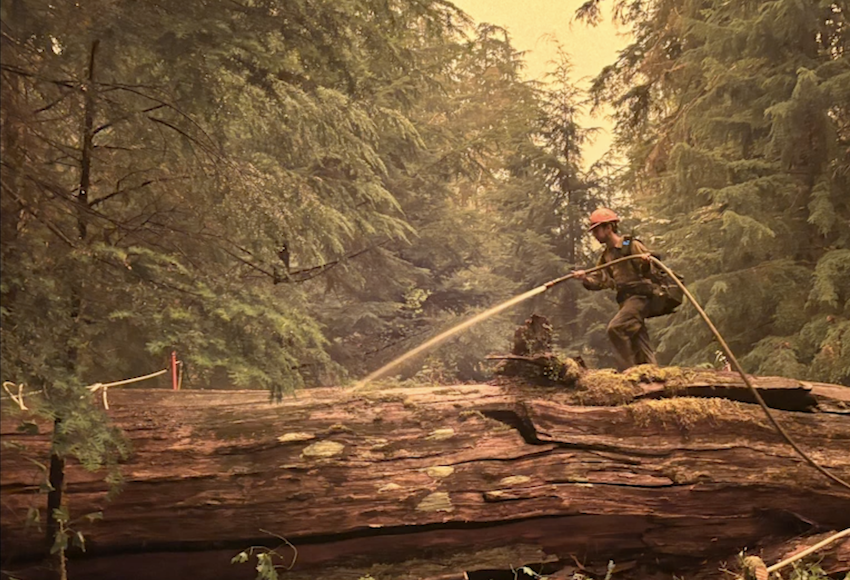 photo courtesy of the Bear Gulch Fire Interagency Response